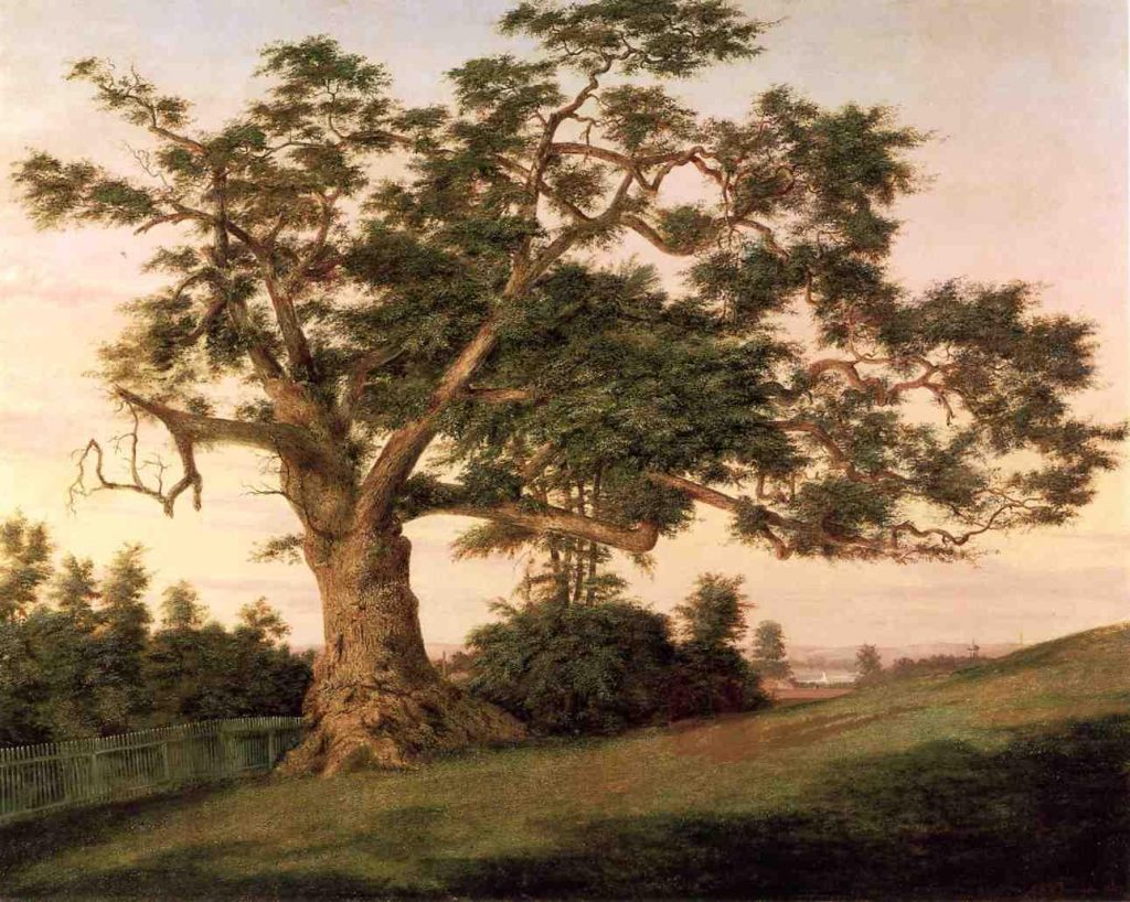 The Charter Oak